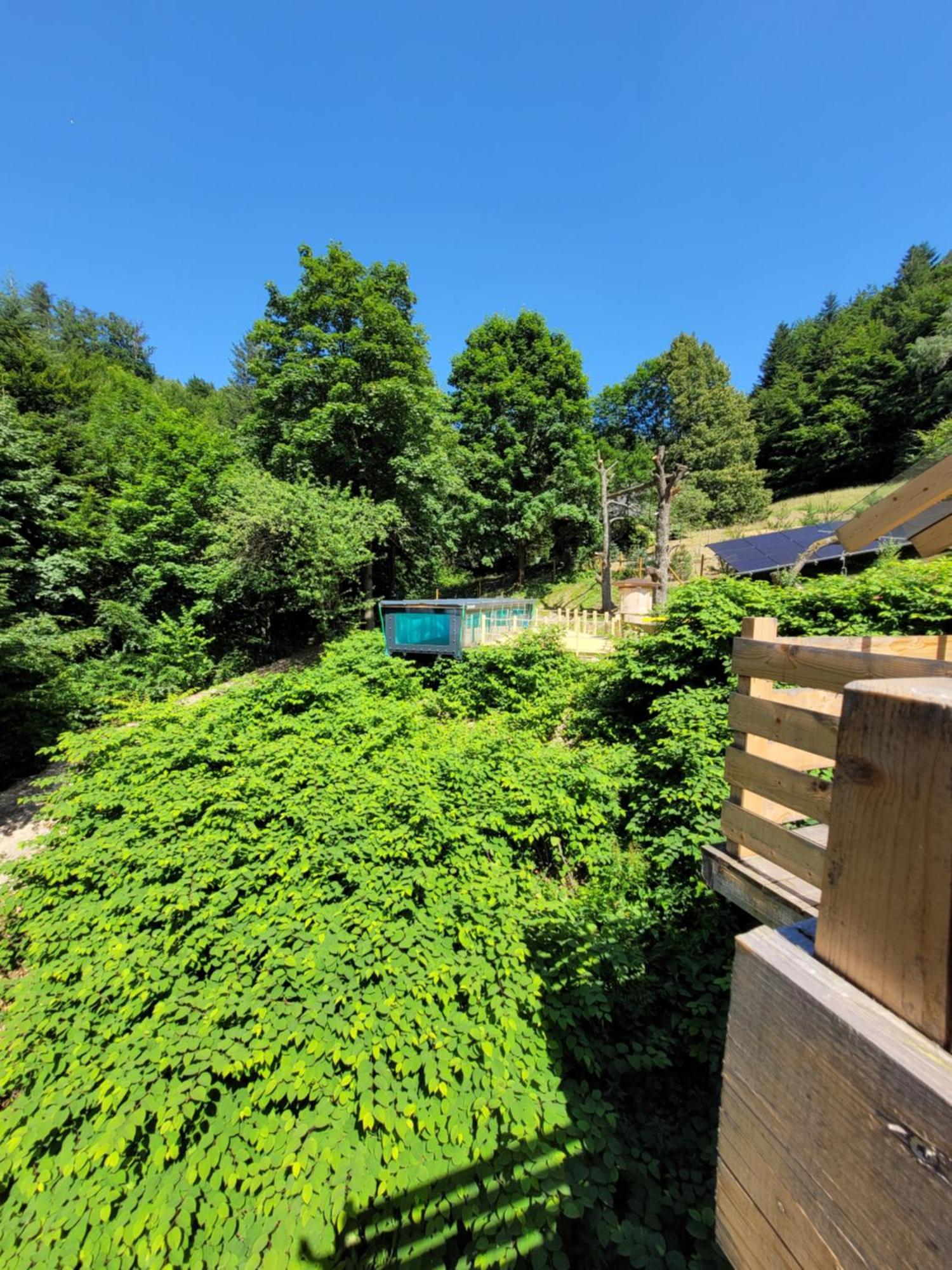 Cicha Polana Szczyrk Exterior foto